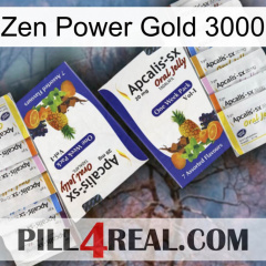 Zen Power Gold 3000 12